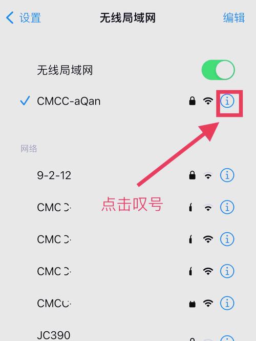 苹果手机如何查看已连接wifi记录