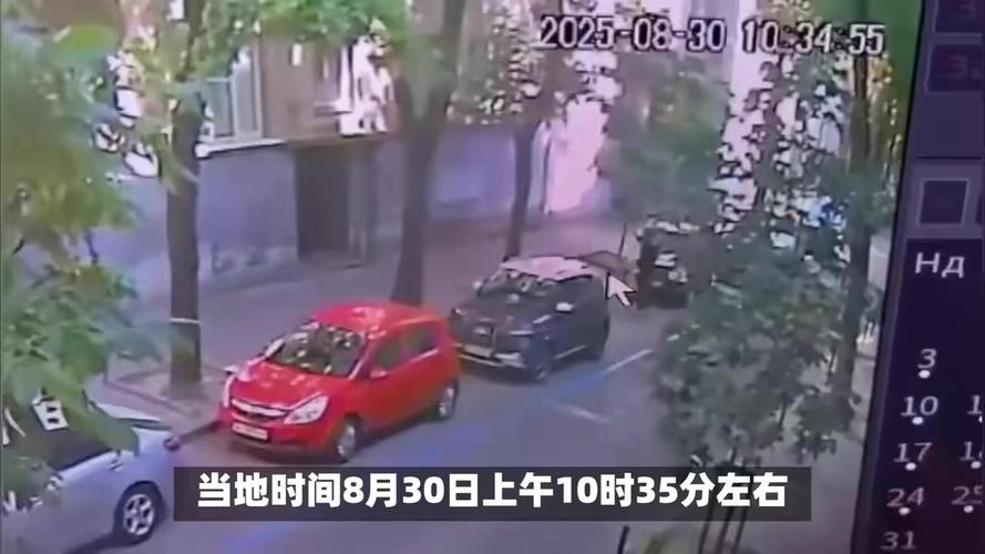 乌前议长遭枪杀 泽连斯基发声