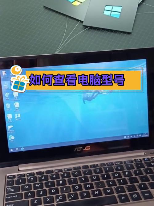 如何查电脑 品牌