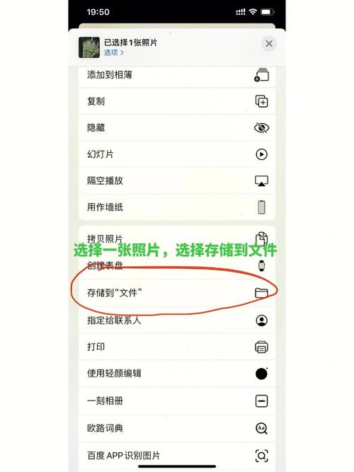 苹果手机如何保存为jpg格式