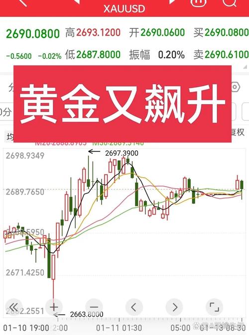 金价创历史新高 黄金股全线飙涨