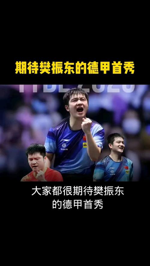 樊振东回应德甲首秀两连败