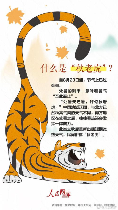 北方冷空气VS南方秋老虎