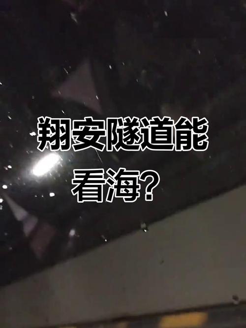 厦门交警辟谣翔安隧道海水倒灌