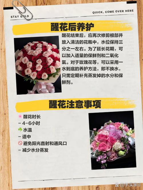 揭秘大会现场花卉如何做到精神抖擞