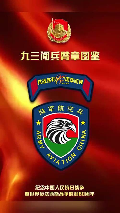 九三阅兵臂章图鉴