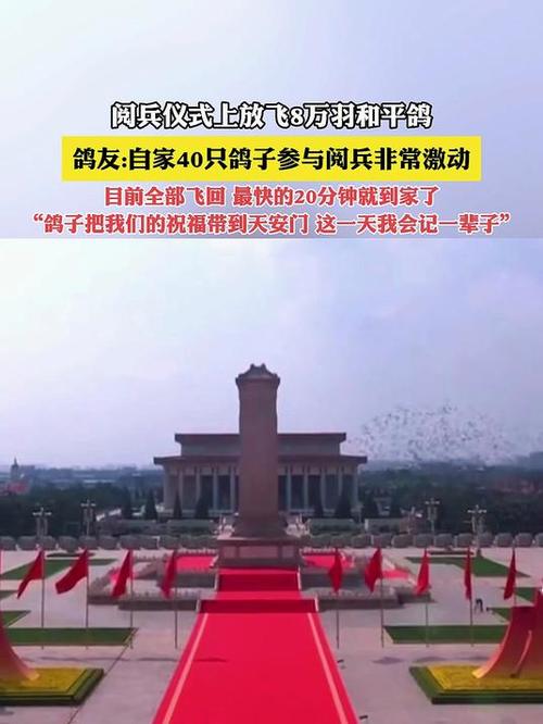 第一批参加阅兵的和平鸽已到家