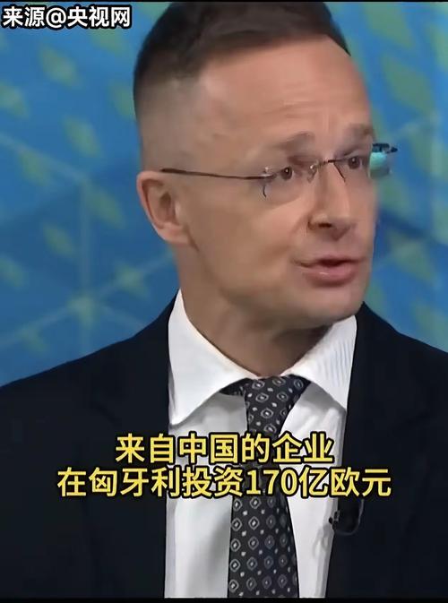 王毅会见匈牙利外长西雅尔多