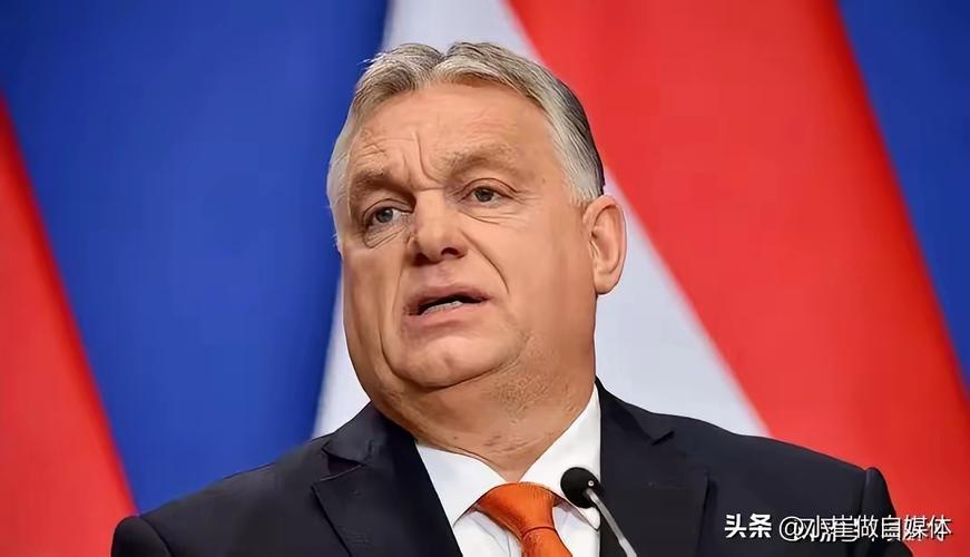 王毅会见匈牙利外长西雅尔多
