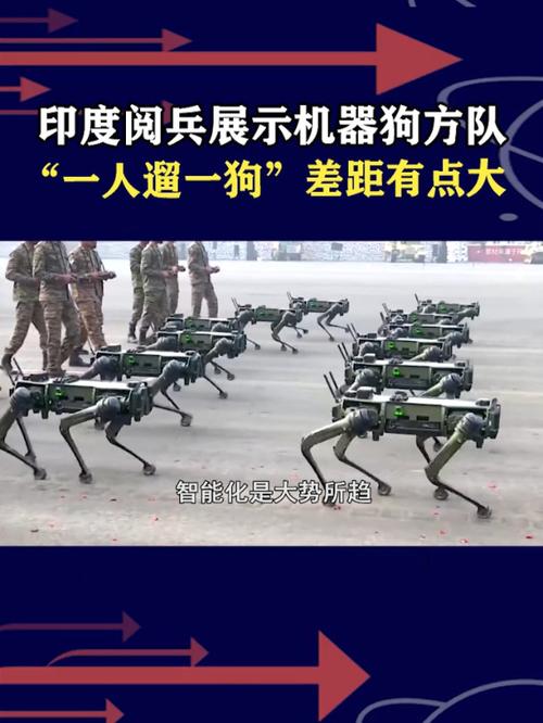 阅兵的“机器狼”与机器狗有啥区别