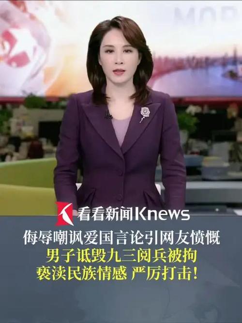 男子诋毁九三阅兵被拘