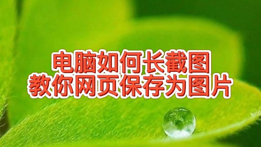 电脑资料如何保存