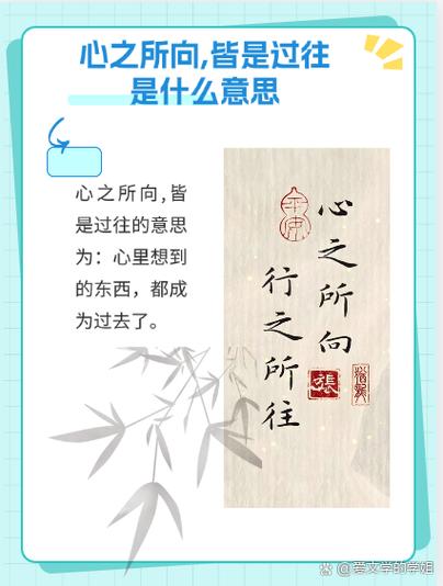 目之所及皆是自豪模样