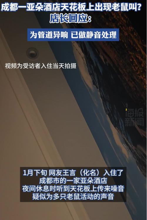 亚朵酒店回应住客被虫咬伤