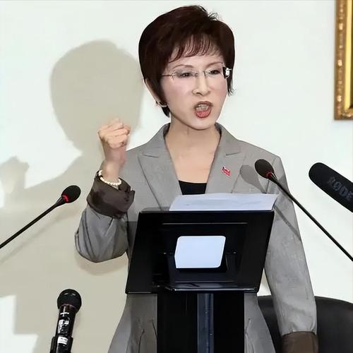 女子看京剧发现后排坐着洪秀柱