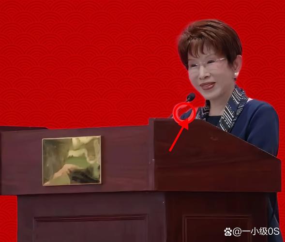 女子看京剧发现后排坐着洪秀柱