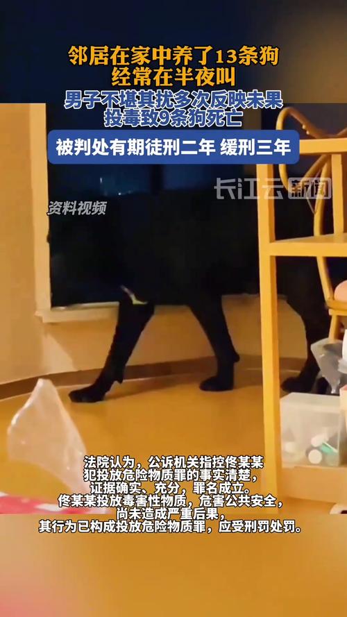 男子不满13条狗半夜叫 毒死9只获刑
