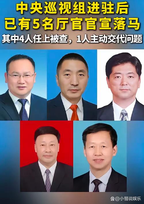 重庆10天官宣6名厅官落马