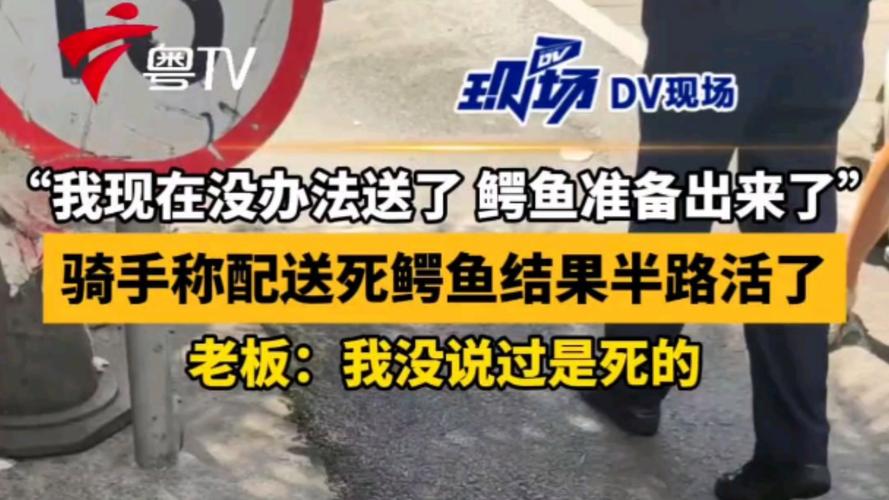 跑腿骑手送鳄鱼 半道发现是活的