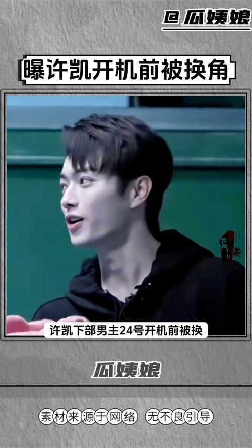 业内人士曝许凯新剧被换角