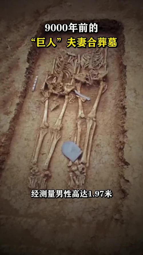河南贾湖遗址发现8000多年前木棺
