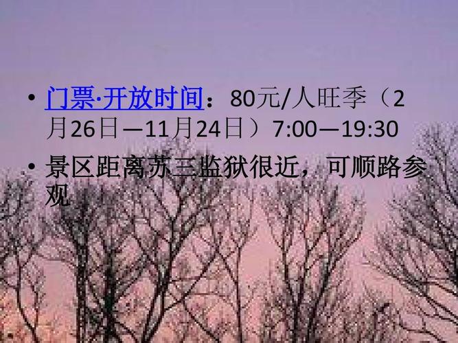 付费乱讲PPT大赛门票5分钟抢光