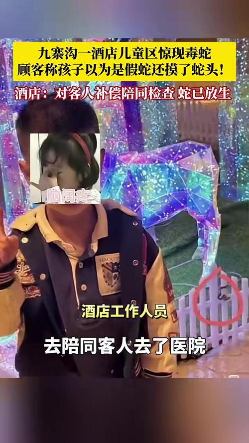 九寨沟一酒店出现毒蛇 孩子还上手摸