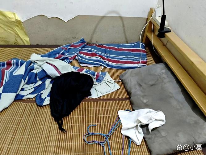 浙江一高校改造寝室时学生物品丢失