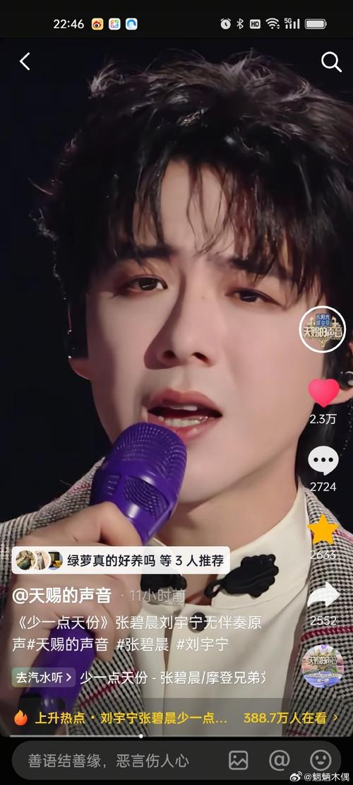 刘宇宁登8月沸点榜一！曾演唱会挥泪