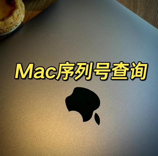 如何查苹果电脑的型号的