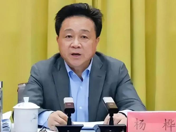 对配偶失管失教 杨桦被开除党籍