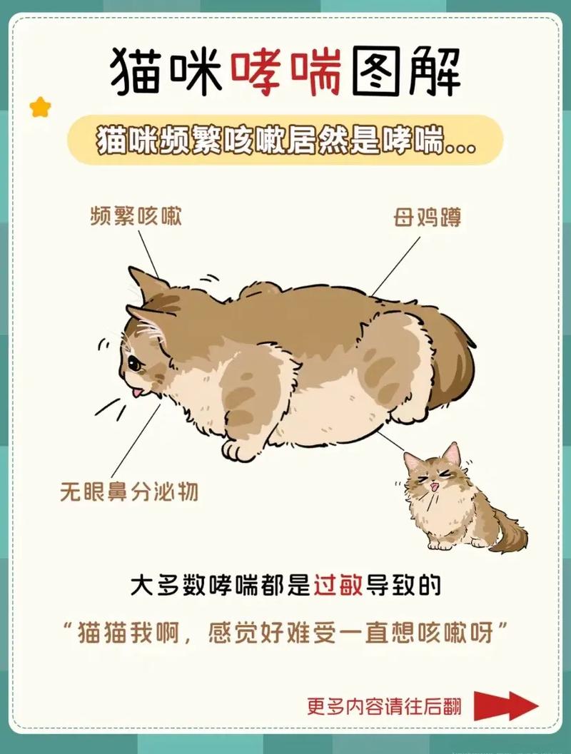 男孩常年“吸猫”致哮喘急性发作
