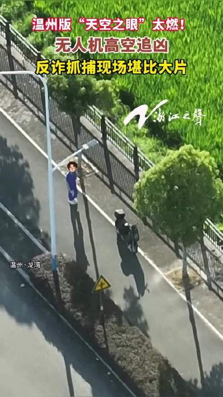 浙江反诈抓捕现场堪比大片