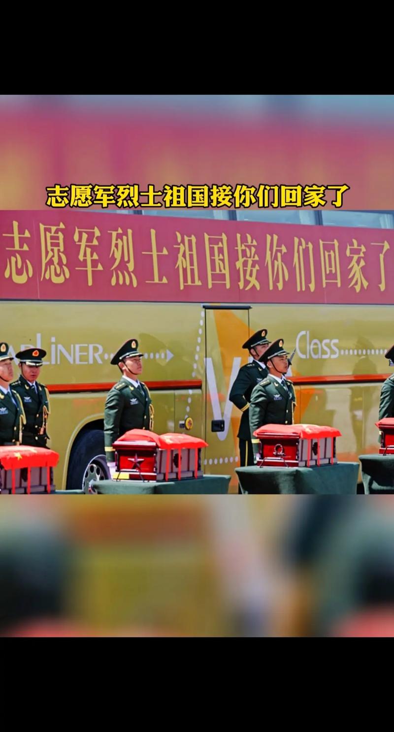 朱一龙现场迎接志愿军烈士回家