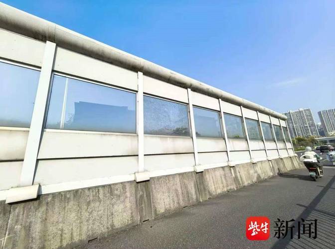 南京一大桥玻璃墙频现撞鸟事件