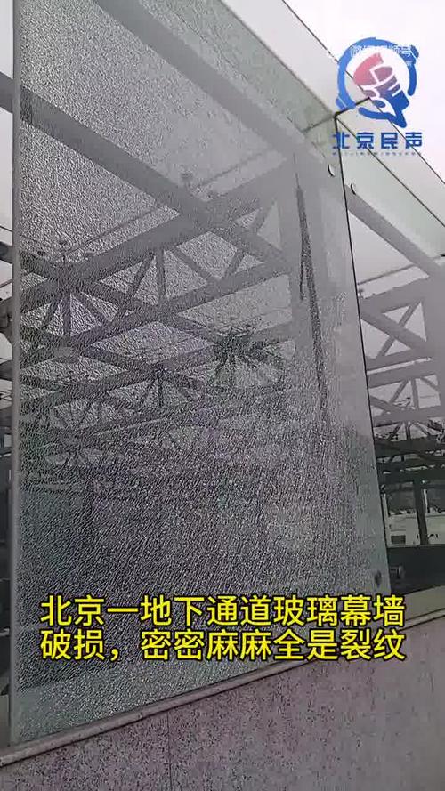 南京一大桥玻璃墙频现撞鸟事件