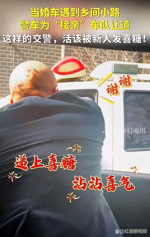 河南南阳辟谣“法院警车接亲”
