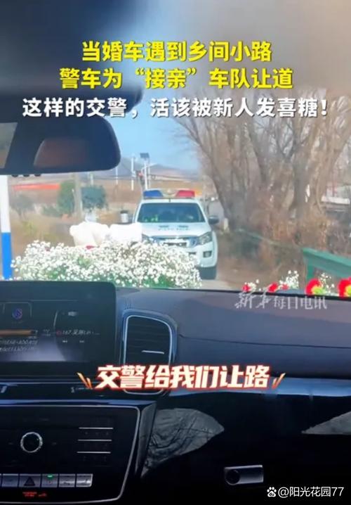 河南南阳辟谣“法院警车接亲”