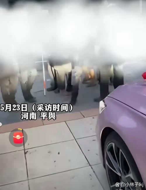 河南南阳辟谣“法院警车接亲”