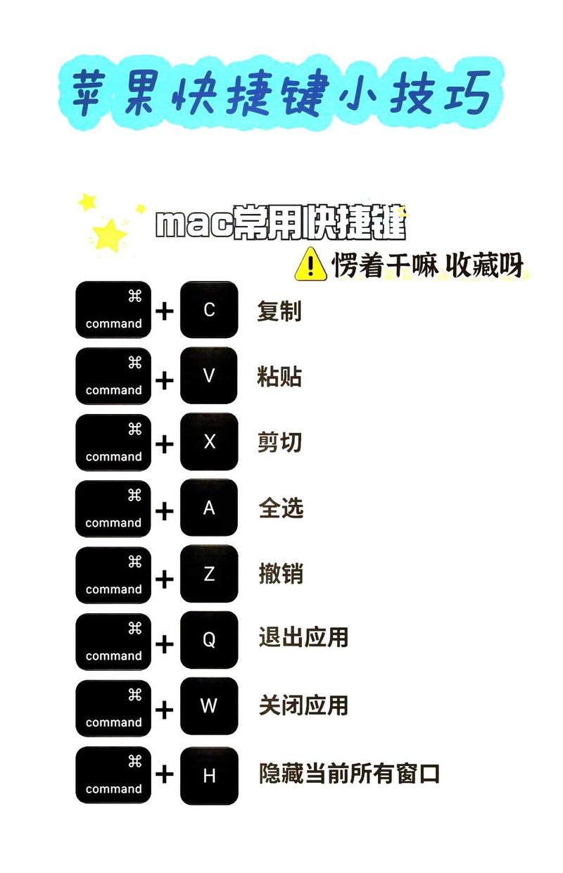 苹果电脑 如何复制粘贴