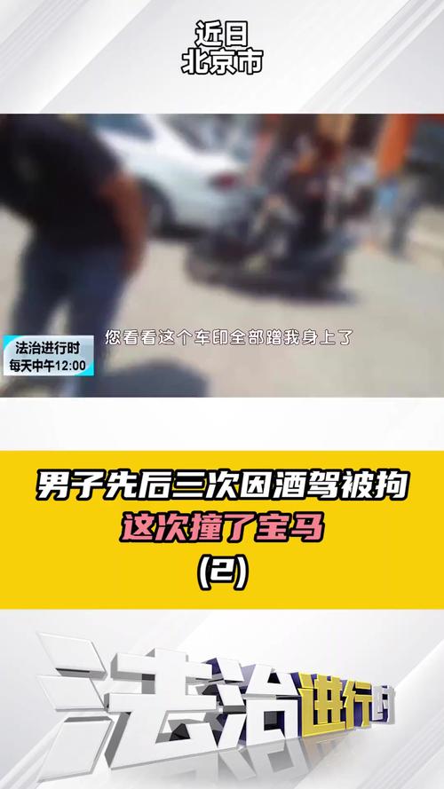 交警回应游客自驾撞死6匹马