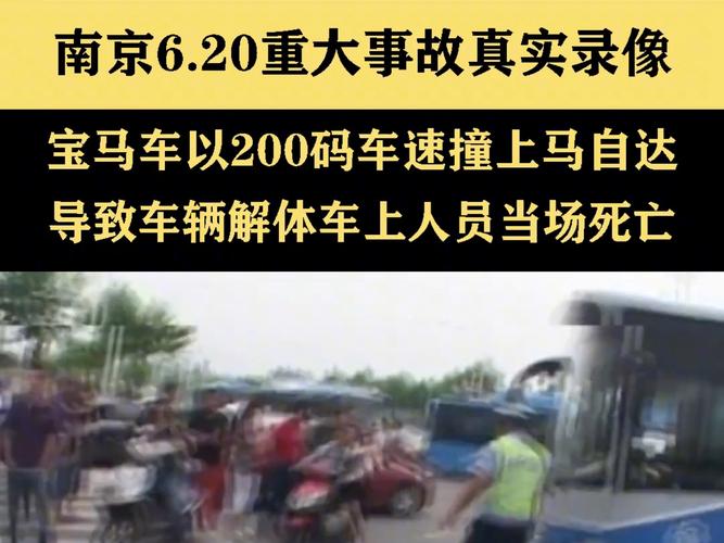 交警回应游客自驾撞死6匹马