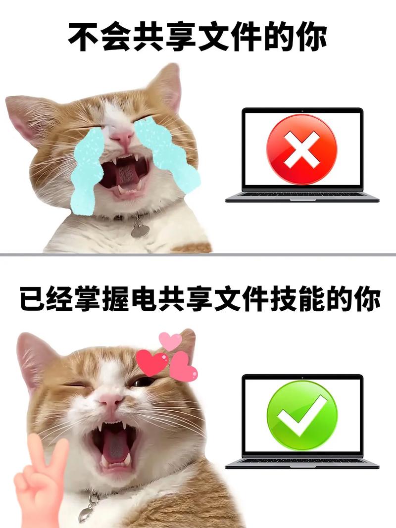 电脑如何设置文件夹共享