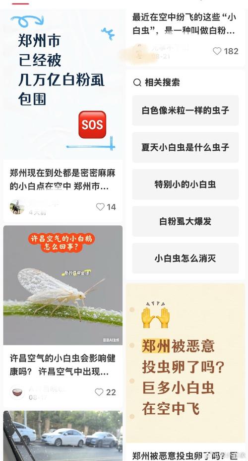 河南多地遭“小白虫”侵袭