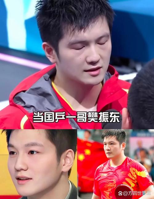 樊振东打出侧切超级球