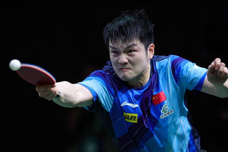 樊振东收获德甲三连胜