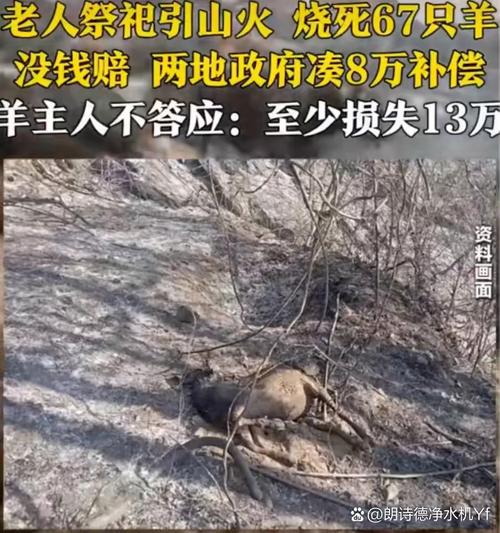 村民称2只狼咬死30只羊 当地回应