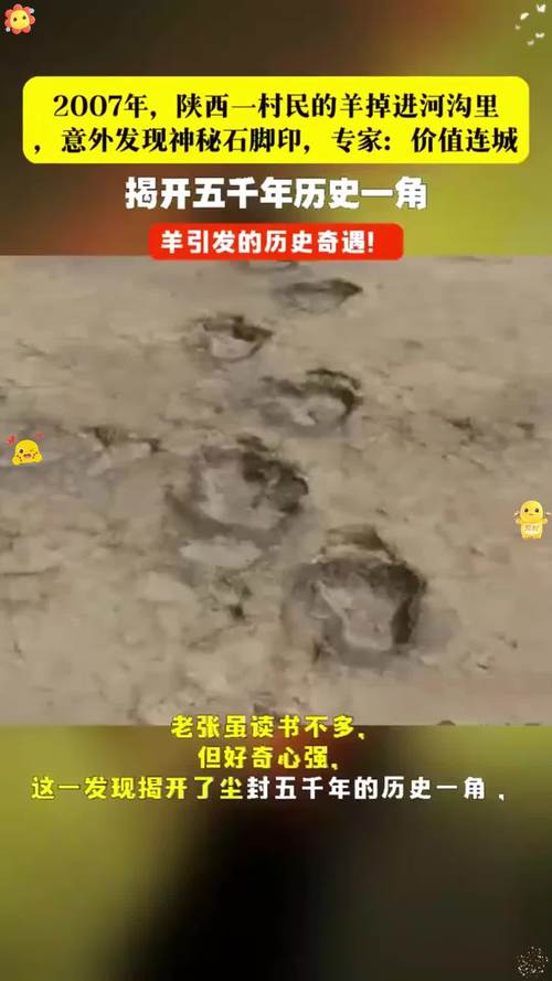 村民称2只狼咬死30只羊 当地回应