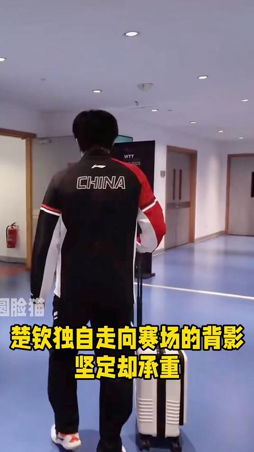 王楚钦下周将重返世界第一