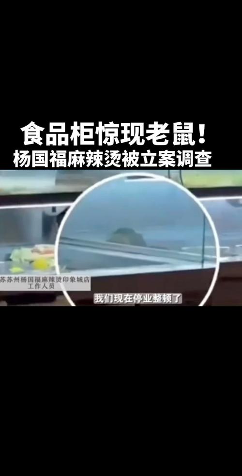 当事人回应白菜里发现老鼠窝